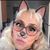 Nixza Yesica Sobenes Abarca's profile image
