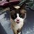 Lenard Fernandez's profile image