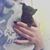 Laura Miller's profile image