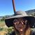 Teri Samulak's profile image