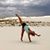 Karen Zaleski's profile image