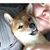 Jenaay Badulol's profile image