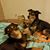 Yolanda Nava Cereno's profile image