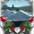 Cruz Morales's profile image