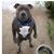 Rick Keesee's profile image