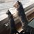 Yoselyn Casas's profile image