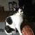 Deborah Yellen's profile image