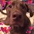 Paula Schwab's profile image