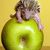 Gail Carney's profile image