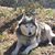 Stephanie Dakoulas's profile image