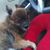 Patricia Nunez-Brock's profile image