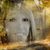 Rhonda Rath's profile image