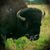 Scott Mitchell's profile image