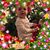 Sarah Stevenson's profile image