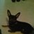 Carla Braun's profile image