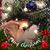 Susan Mohr's profile image