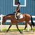 Jenna Seppa's profile image