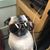 Heidi Eide's profile image