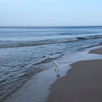 Tania Hlubotskyy's profile image