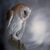 Becky Cutler's profile image