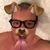 Benji Royals's profile image