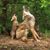 Carolyn O'Keefe's profile image