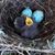 Marykay Tucker's profile image