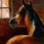 Bled Hid's profile image