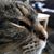 Rhonda Liddell's profile image