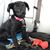 Jodi von Spreckelsen's profile image