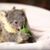 Koala's Home's profile image