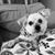 Jamie Fazzio's profile image