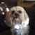 Charlie Jean York's profile image