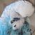 Yaisluna Ya's profile image