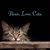 Carole Holowchak Malugani's profile image