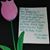Josephine Bracken Silaga Mahan's profile image