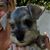 Sharon Oatman's profile image
