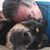 Doug Schaffer's profile image