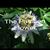 John Streeter SharpFlowers's profile image