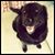 Susan Mcgrane's profile image