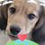 Gary Palmer's profile image