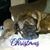 Cathy Masse Michaud's profile image