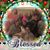 Barbara Ann Lujan's profile image