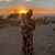 Dayna Pride's profile image