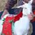 Shelley Zank's profile image