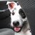 David McMath's profile image