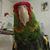Nicole Walker's profile image