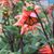 Judy Weston's profile image