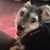 Luci Kurze Hepworth's profile image