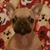 Lisa McDougall's profile image